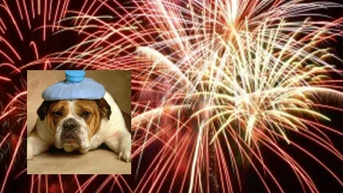 xw5evqqlwxxevsth5n1fs1j0l dickblaft 14 2