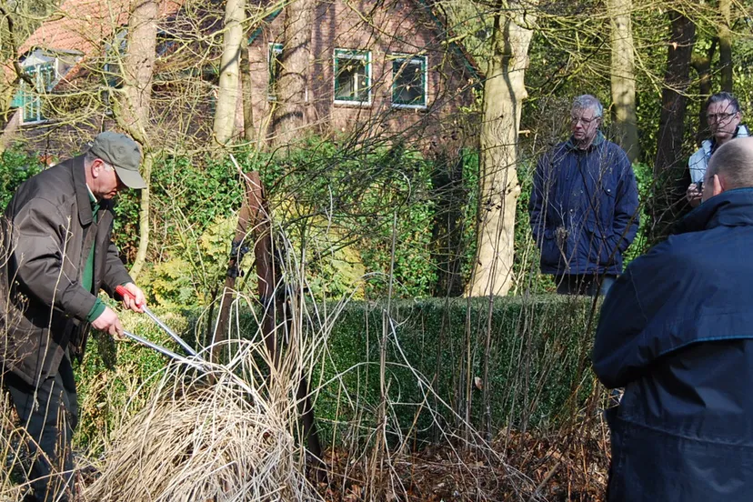 y7futorwf04sbde6au9d9yjli 08en groei en bloei