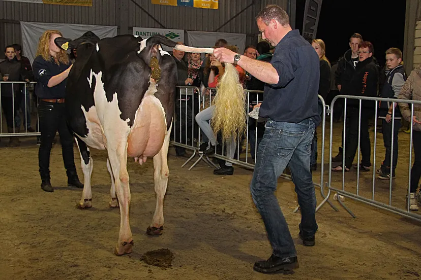 yakuc2hk6s51cgqgi5r6ngbf3 14en koe 6