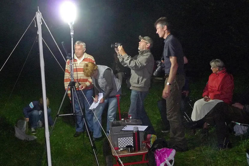 yrxeczfgqfu11nxg8wb04qdld 14en knnv