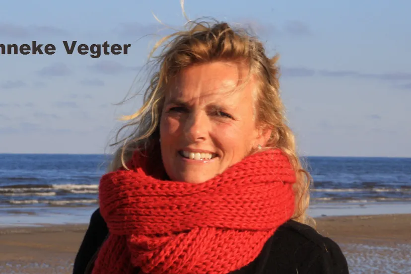 z9scfibyx50i1b2e16lux6cns 49en acaf