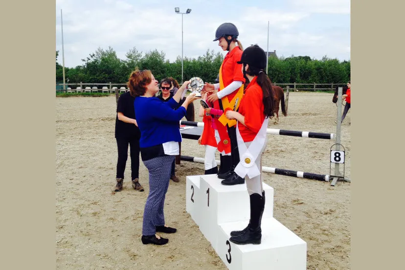 zjkcqfu1up0j6n1lorisjxd40 22en paard 1