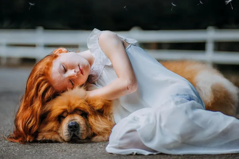 37en dierenwelzijnsdag