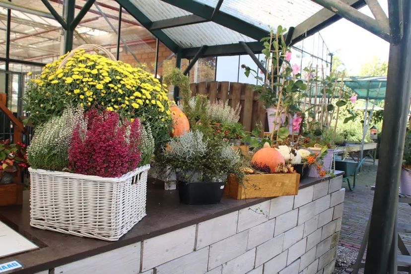 40en bloemenhofherfst