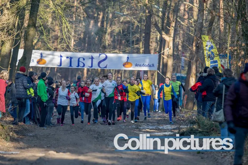 16179188 1398131523584624 6096979577982560723 o