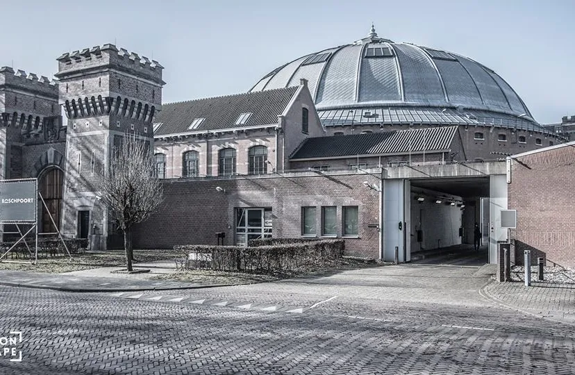 32668034 1674299666012930 9195942730730045440 n