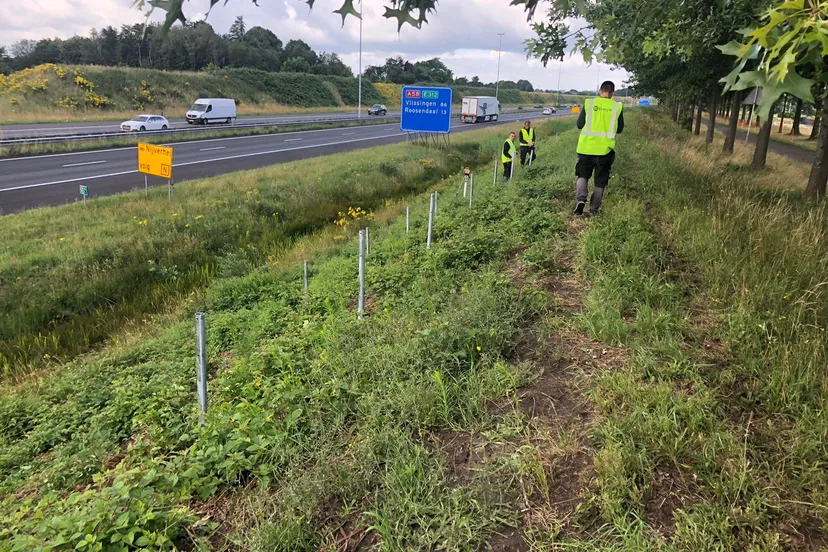 577e1aa7 a062 40e2 985d bbd56d49ce3c