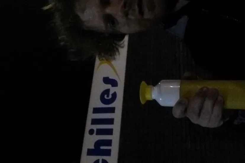 achilles e1484561041630