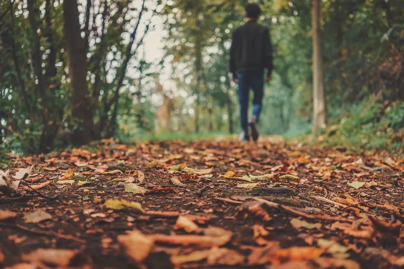 autumn 1869160 1280