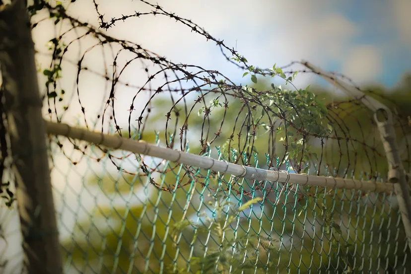 barbed wire 600471 1280