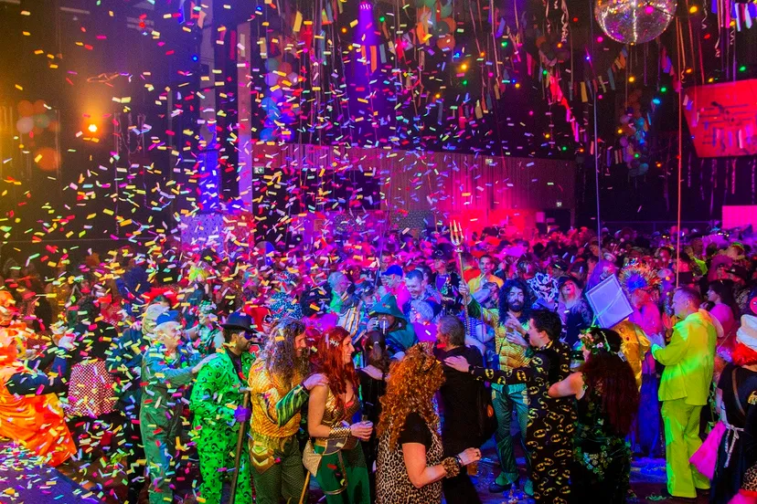 carmaval muzebal c harry rappagne