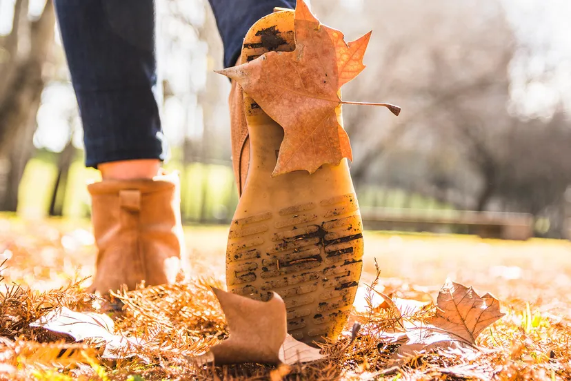 de nobelaer bibliotheek walk talk 2 1920 x 1080