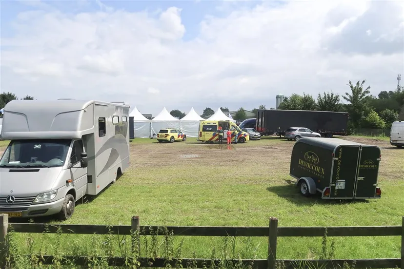 download scaled 1000x1000 52996