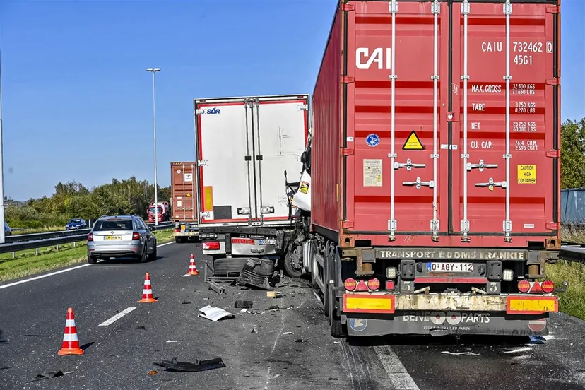 download scaled 1000x1000 65326