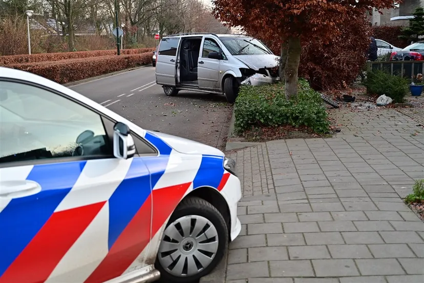 download scaled 1000x1000 69827