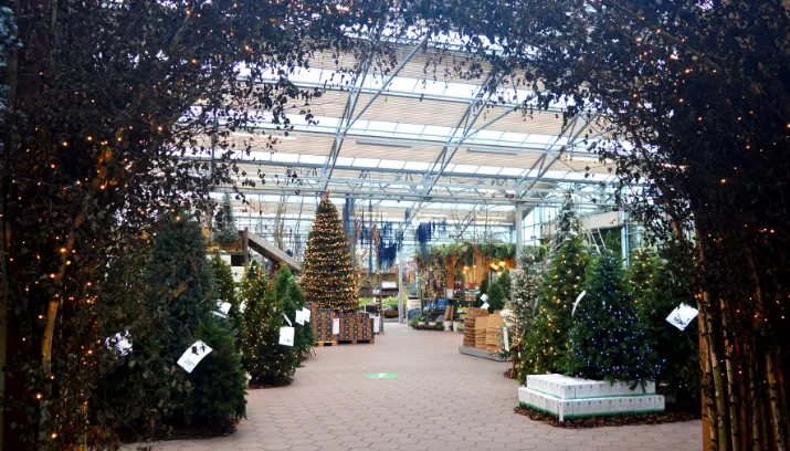 intratuin breda add najaar2020