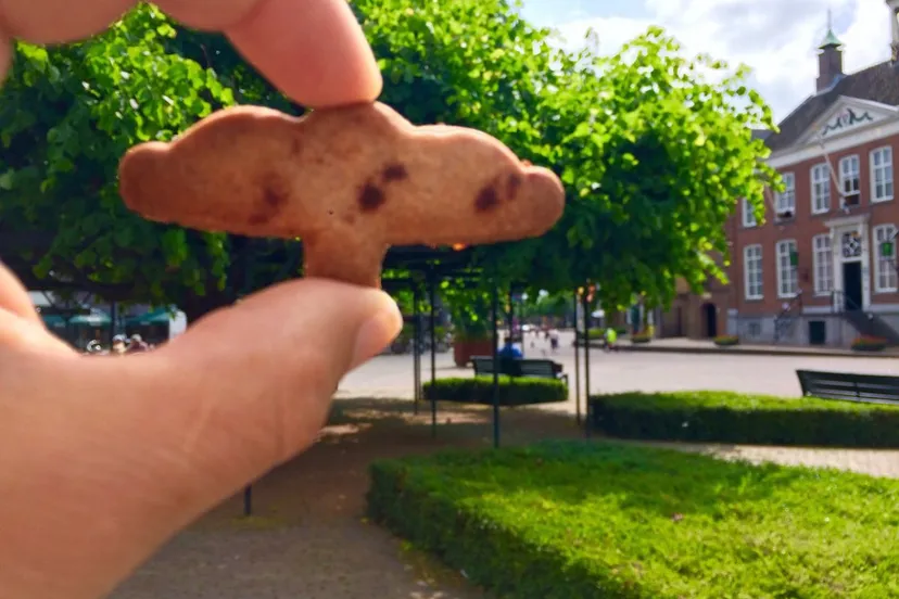 moeierboom koekje etten leur