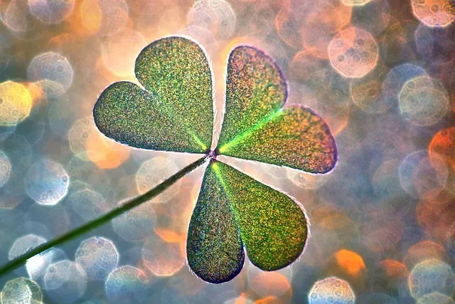 new years eve 3901611 640