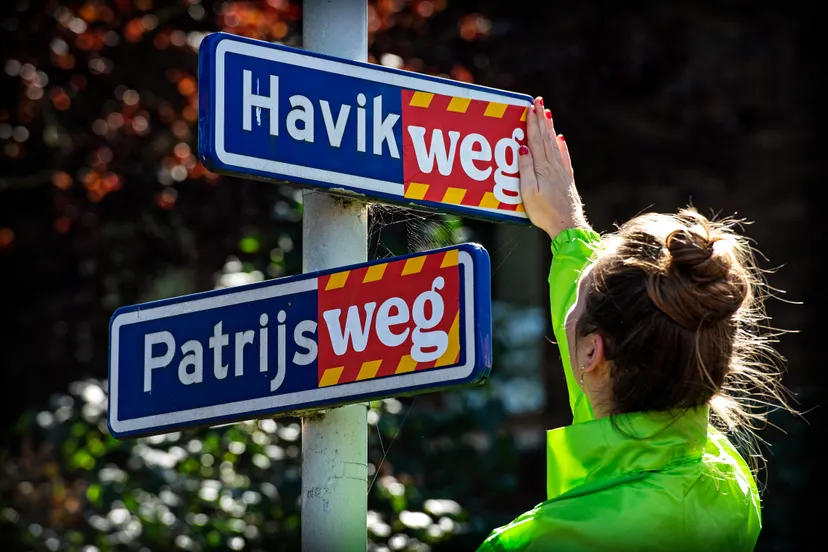 patrijs weg