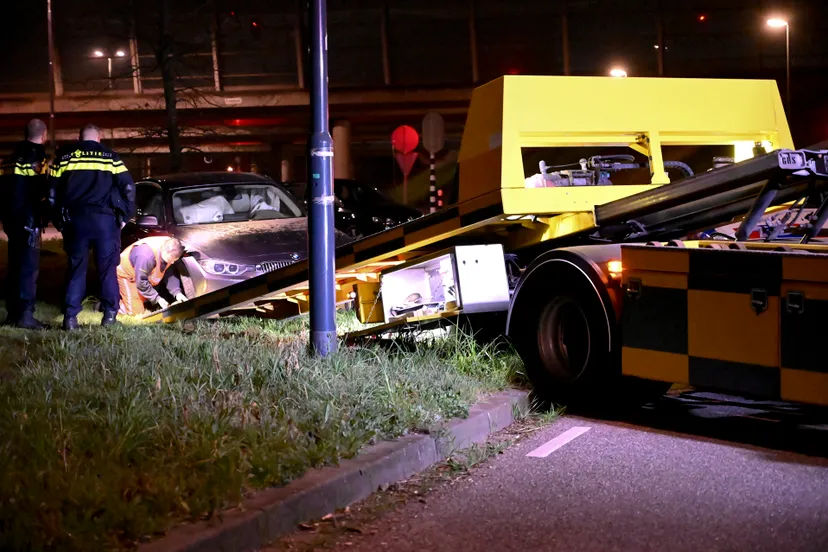 perry roovers 20220326032903 5