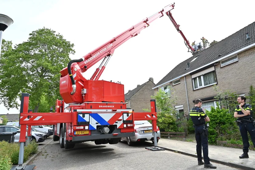 perry roovers 20220510095554 1