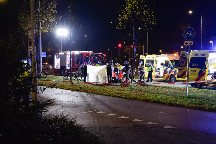 perry roovers 20221030052615 5