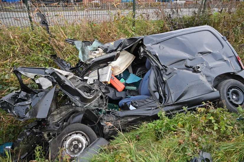 perry roovers 20221111082606 2