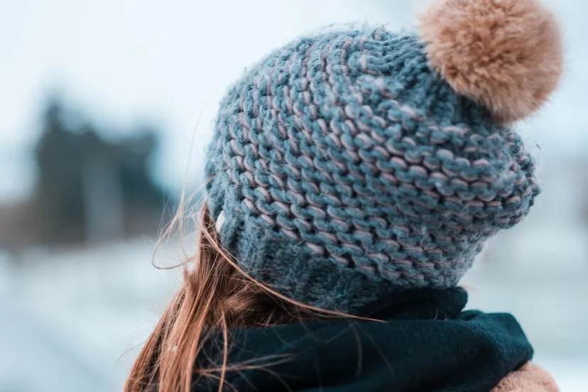 pexels guillaume meurice 2460527