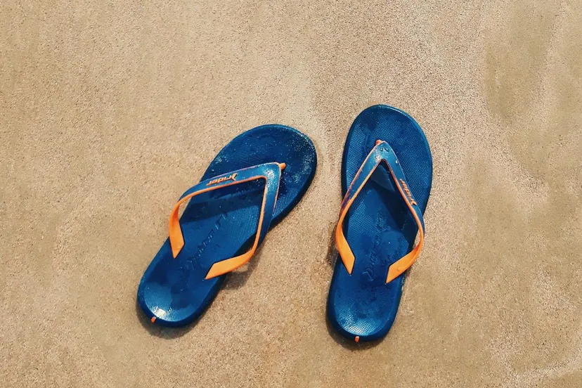 pexels joao vitor heinrichs 862489 1756086