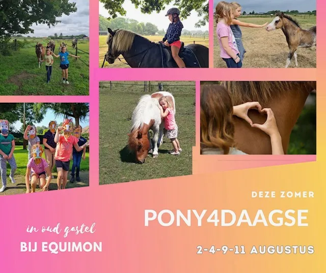 pony4daagse