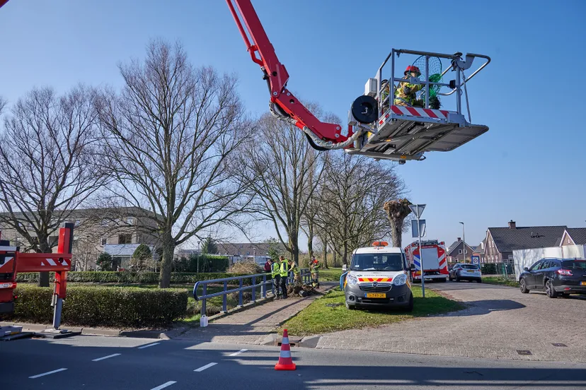 tom van der put 20220305144928 4