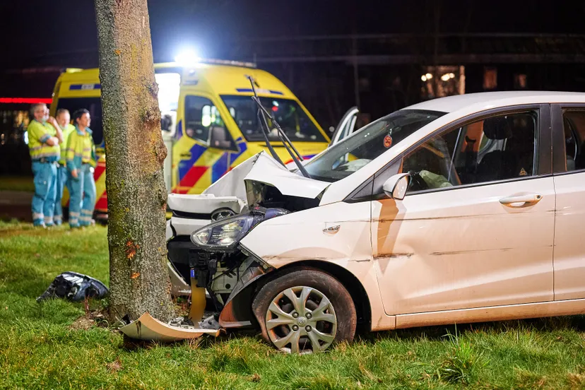 tom van der put 20220313211043 3