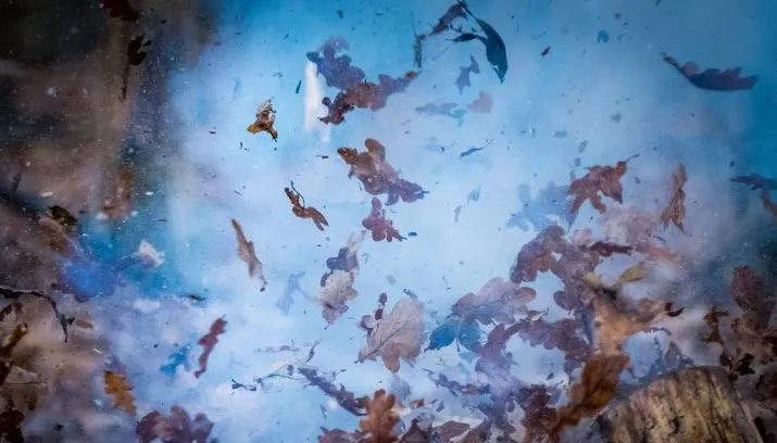 vuurwerk mag weer verkocht worden 715x408