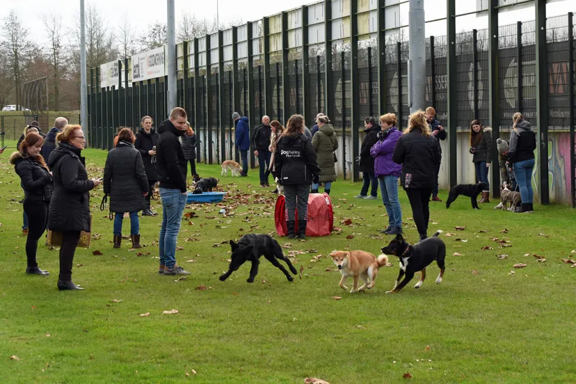 whatsapp image 2022 03 09 at 50703 pm