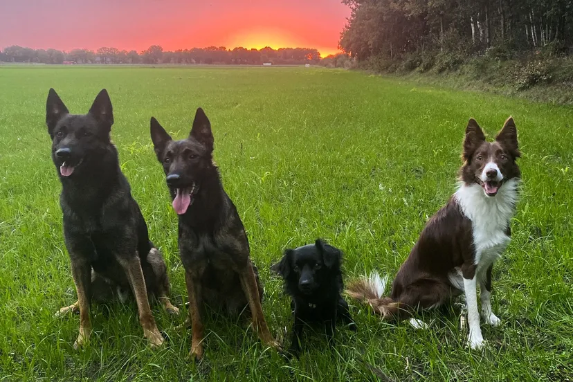 whatsapp image 2023 03 11 at 115618