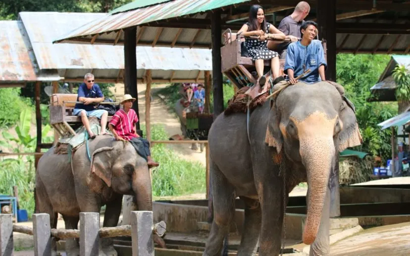 world animal protection olifantenrit 1280x720 915x518