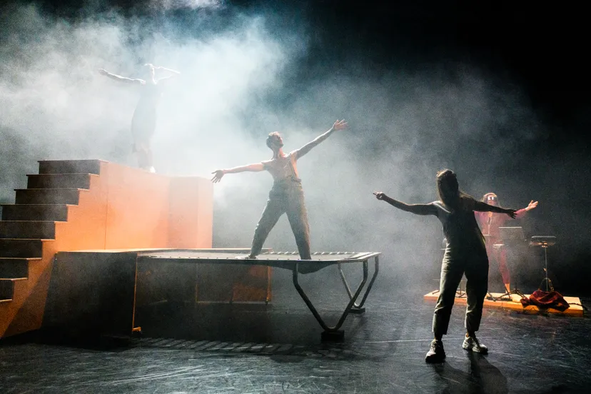 zenuwslopend oostvogels jostijnligtvoetfotografie1