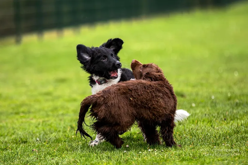 whatsapp image 2024 09 08 at 083616