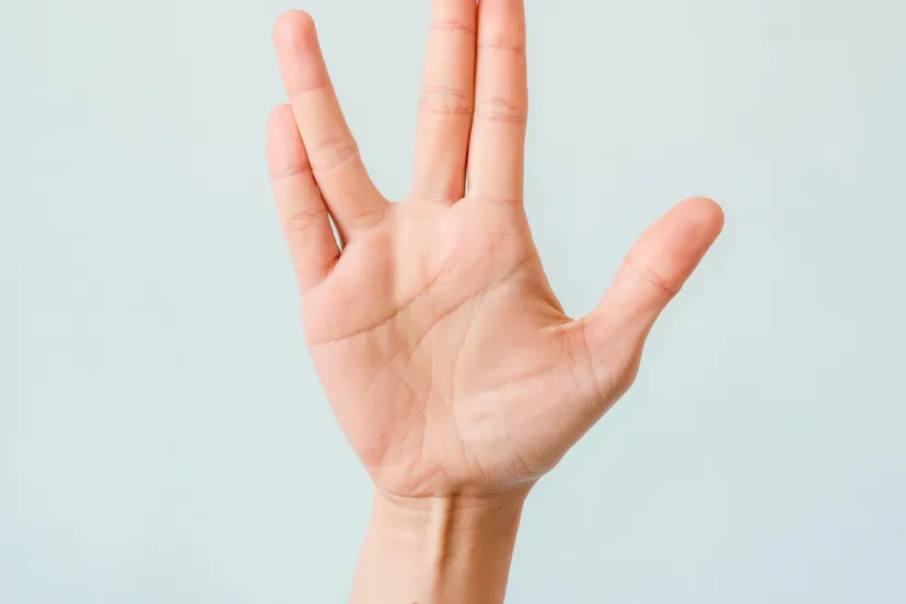 pexels kevin malik 9017568