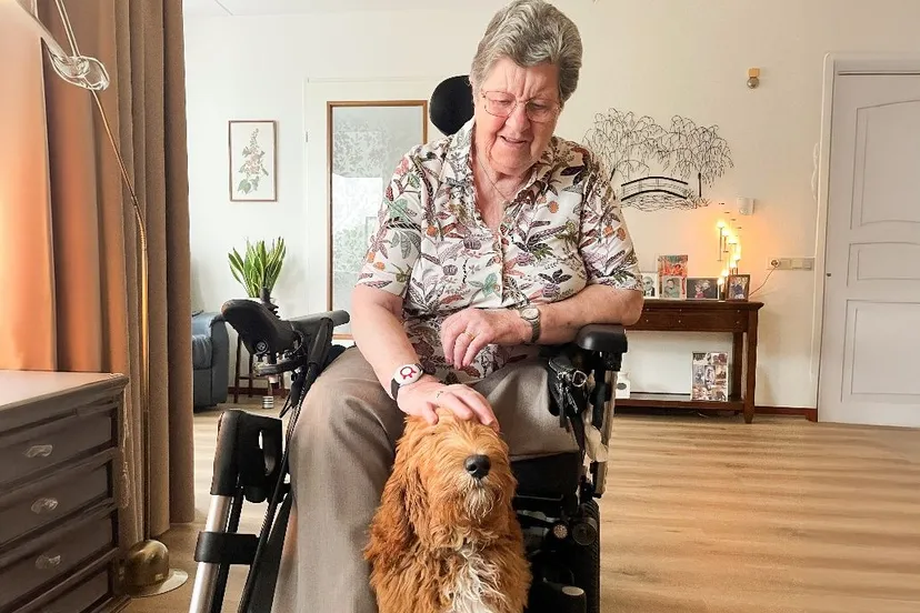 contacthond kees avoord