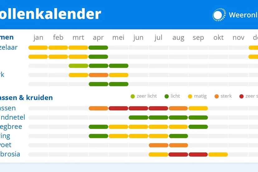 unnamed 2025 03 29t161426723