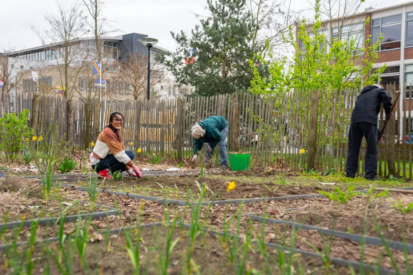 community garden vrijwilligers buas