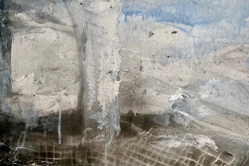 schermafbeelding cees rijppaert 2025 06 03 om 153322