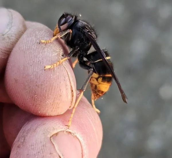 unnamed - 2025-10-02T140908.961