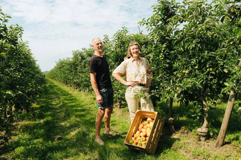 appelsap no waste army