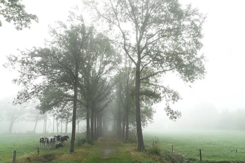 20181017 zundert de moeren jst1926