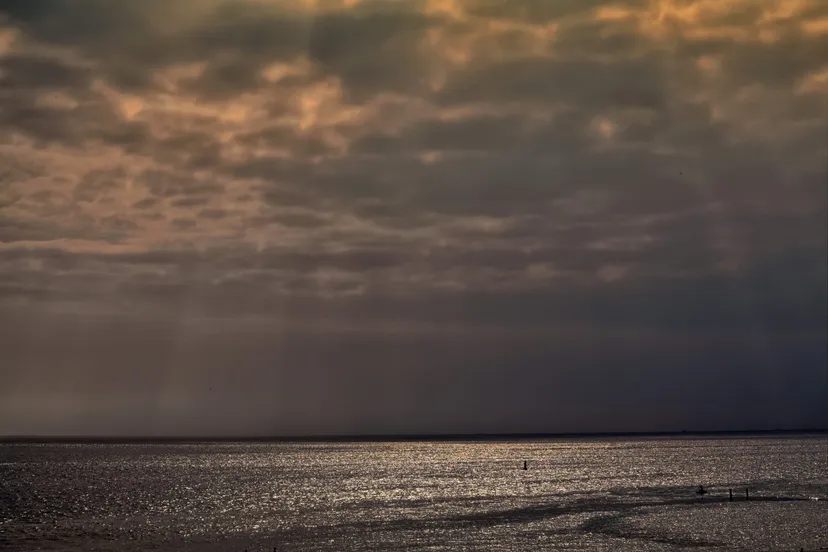 20210711 zoutelande jst5788 scaled