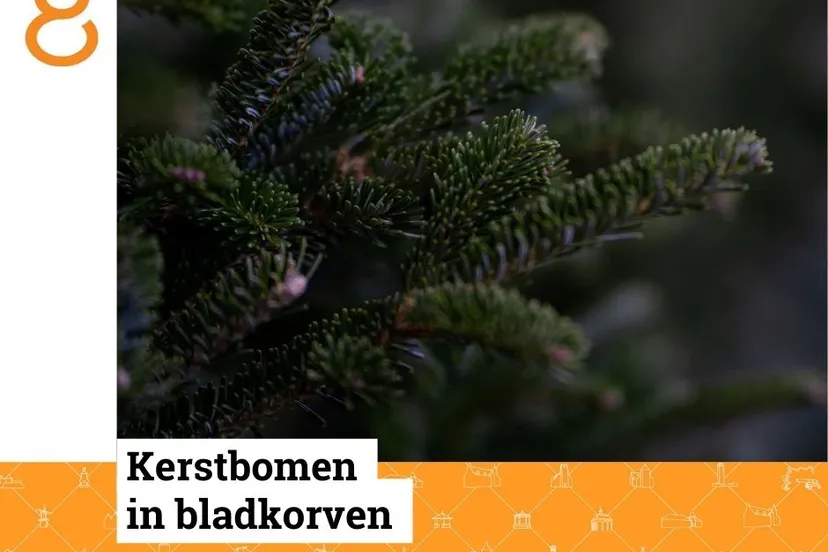 270322773 278706380967931 7636475883272763001 n