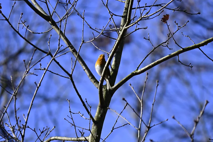 329154823 742216140607989 6420939166003557456 n