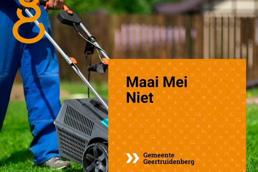 344707028 2434667996708449 6668276801459899026 n